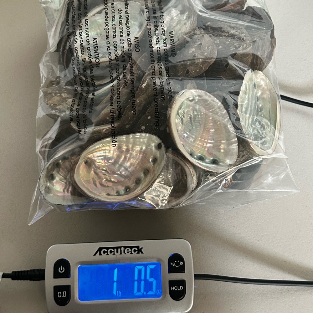 Natural Abalone Shells Collection - Picture 6 of 6